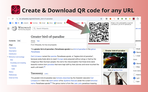Create a QR code for a URL  from Chrome web store to be run with OffiDocs Chromium online