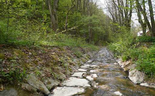 creek in the forest  from Chrome web store to be run with OffiDocs Chromium online