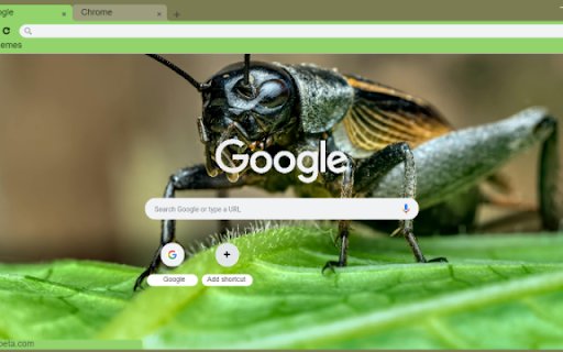 Cricket  from Chrome web store to be run with OffiDocs Chromium online