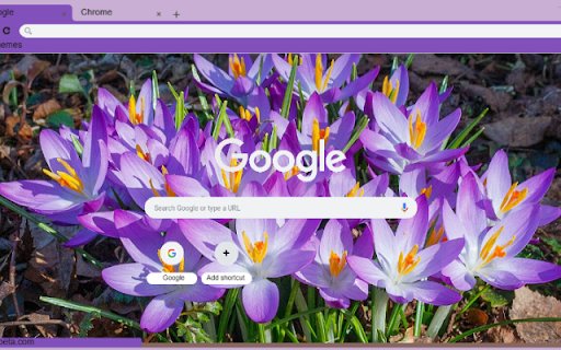 Crocus  from Chrome web store to be run with OffiDocs Chromium online