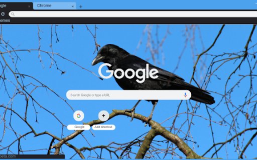 Crow from Chrome web store to be run with OffiDocs Chromium online Crow from Chrome web store to be run with OffiDocs Chromium online