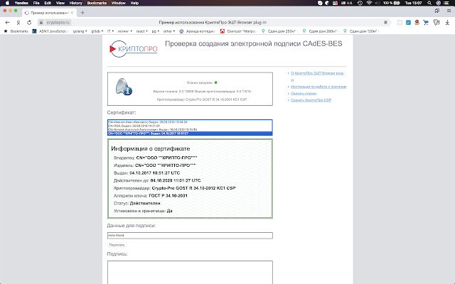 CryptoPro Extension for CAdES Browser Plug in  from Chrome web store to be run with OffiDocs Chromium online