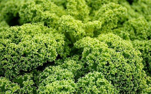 Curly Lettuce  from Chrome web store to be run with OffiDocs Chromium online