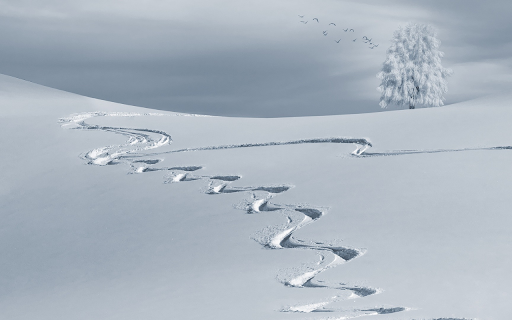 Curves in the snow  from Chrome web store to be run with OffiDocs Chromium online