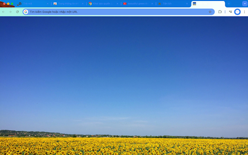 Custom New Tab Background  from Chrome web store to be run with OffiDocs Chromium online