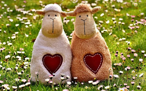 Cute baby sheep  from Chrome web store to be run with OffiDocs Chromium online