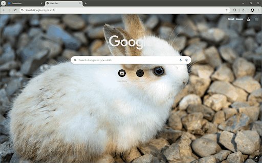 Cute Bunny (FHD)  from Chrome web store to be run with OffiDocs Chromium online