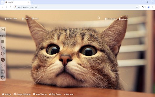 Cute Cats  Kittens Wallpaper  from Chrome web store to be run with OffiDocs Chromium online