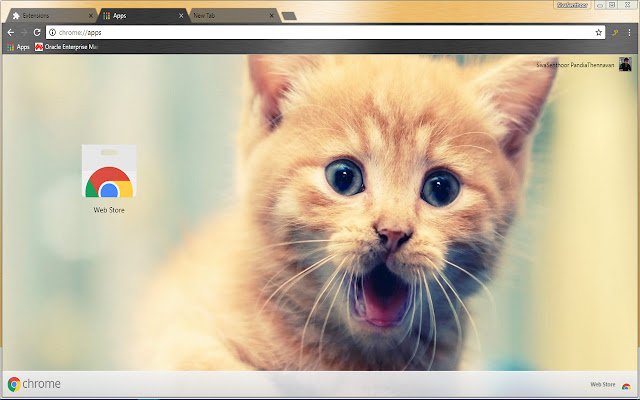 OffiDocs Chromium 온라인으로 실행되는 Chrome 웹 스토어의 귀여운 고양이 웃고 있는 애완 동물