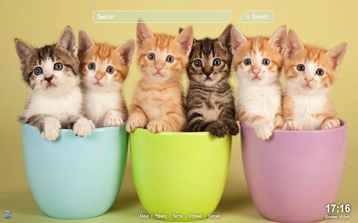 Cute Cats Wallpaper  from Chrome web store to be run with OffiDocs Chromium online