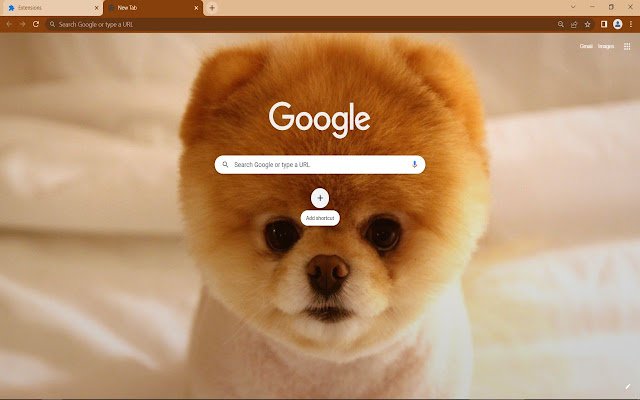 Cute Dog Boo de Chrome web store se ejecutará con OffiDocs Chromium en línea