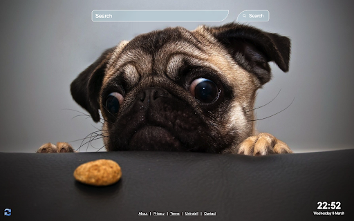 Cute Dogs Wallpaper  from Chrome web store to be run with OffiDocs Chromium online