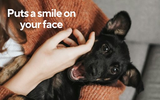 Cute Dog Wallpapers New Tab  from Chrome web store to be run with OffiDocs Chromium online