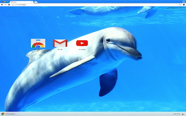 Tema Lumba-lumba Lucu dari toko web Chrome untuk dijalankan dengan OffiDocs Chromium online