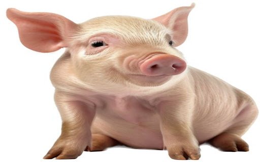 cute piggy wallpaper  from Chrome web store to be run with OffiDocs Chromium online