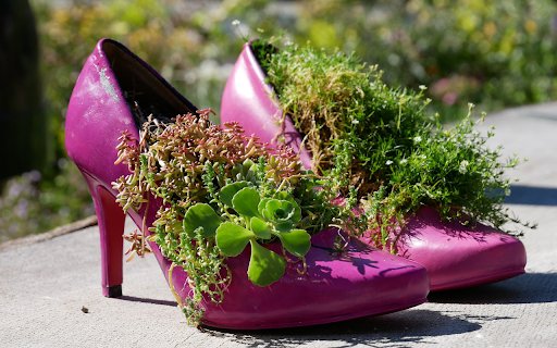 Cute shoes  from Chrome web store to be run with OffiDocs Chromium online