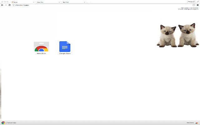 Cute Siamese Kittens Theme  from Chrome web store to be run with OffiDocs Chromium online