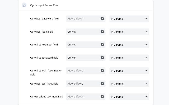 Cycle Input Focus Plus  from Chrome web store to be run with OffiDocs Chromium online