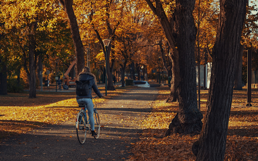 Cycling for a walk  from Chrome web store to be run with OffiDocs Chromium online