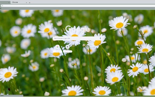 daisy  from Chrome web store to be run with OffiDocs Chromium online