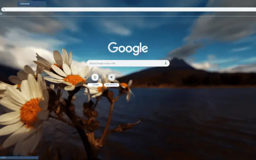 Daisy Perspective  from Chrome web store to be run with OffiDocs Chromium online