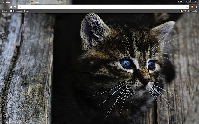 Dark Kitten dari toko web Chrome untuk dijalankan dengan OffiDocs Chromium online