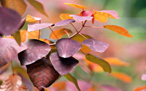 Dark purple leaves  from Chrome web store to be run with OffiDocs Chromium online