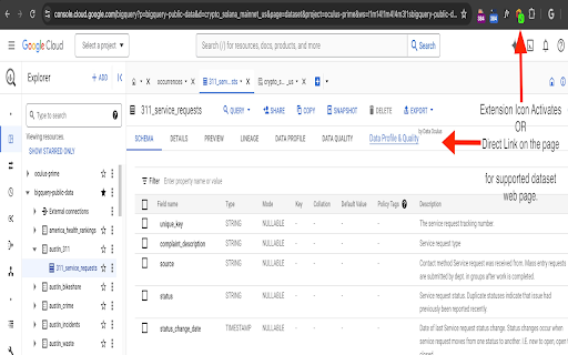 Data Profiling, Quality  More for Public Datasets by Data Oculus  from Chrome web store to be run with OffiDocs Chromium online