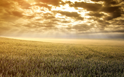 Dawn in the fields  from Chrome web store to be run with OffiDocs Chromium online