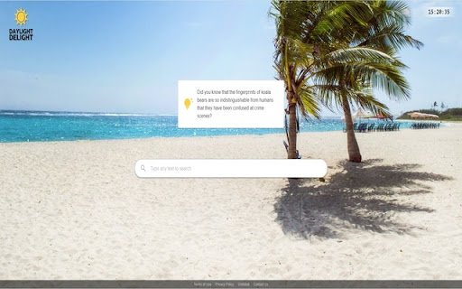 Daylight Delight  from Chrome web store to be run with OffiDocs Chromium online