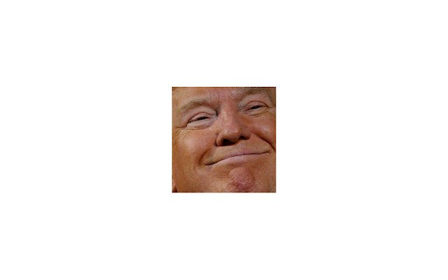 ເຖິງທ່ານ Trump ຈາກຮ້ານເວັບ Chrome ທີ່ຈະດໍາເນີນການກັບ OffiDocs Chromium ອອນໄລນ໌