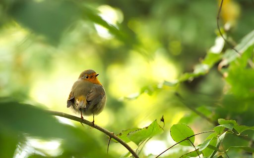 Deep bird  from Chrome web store to be run with OffiDocs Chromium online