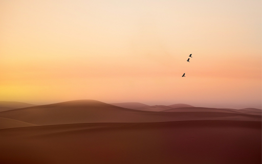 Desert bird  from Chrome web store to be run with OffiDocs Chromium online
