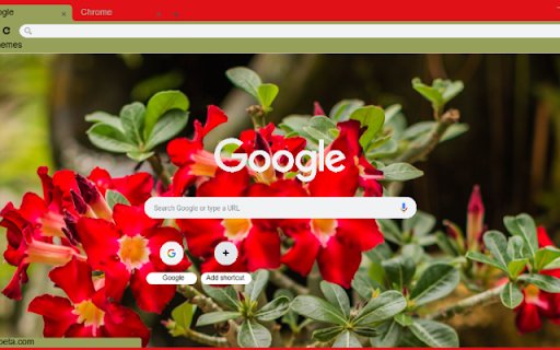 Desert Rose  from Chrome web store to be run with OffiDocs Chromium online