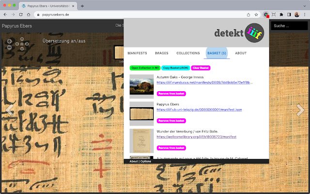 detektIIIF2 uit de Chrome-webwinkel om te gebruiken met OffiDocs Chromium online