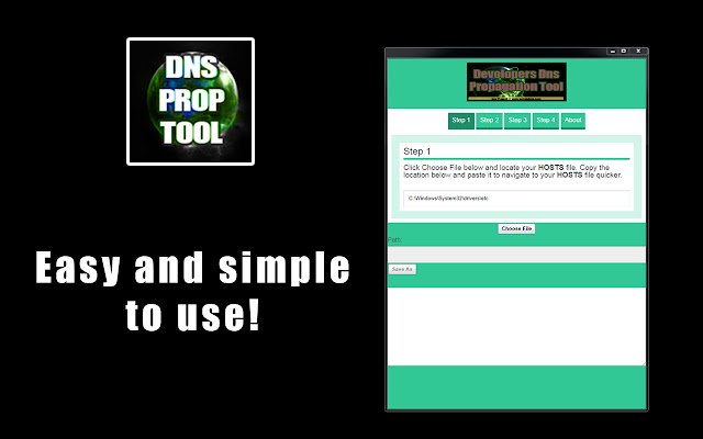 Developers DNS Propagation Tool  from Chrome web store to be run with OffiDocs Chromium online