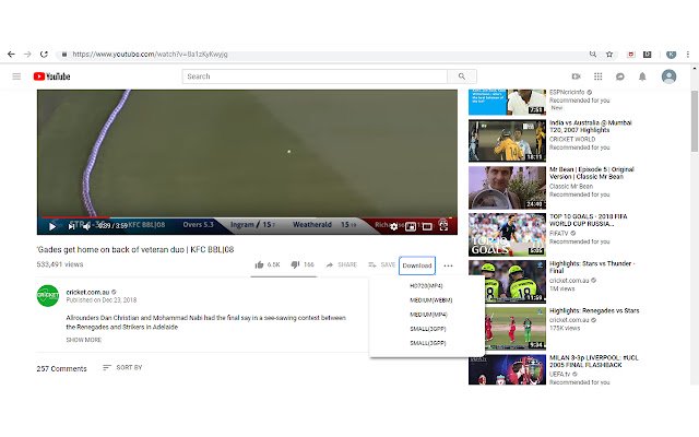 Dext  from Chrome web store to be run with OffiDocs Chromium online