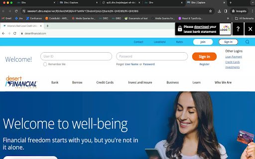 DIRO Identity New  from Chrome web store to be run with OffiDocs Chromium online