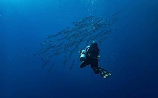 Diver and the Barracudas  from Chrome web store to be run with OffiDocs Chromium online
