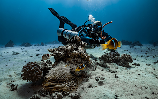 Divers and fish  from Chrome web store to be run with OffiDocs Chromium online