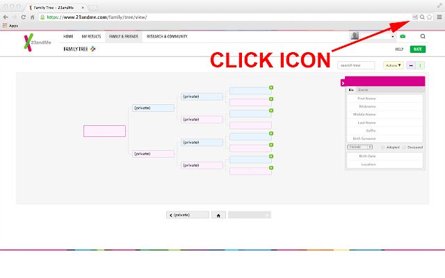 Chrome ウェブストアの DNArboretum を OffiDocs Chromium online で実行