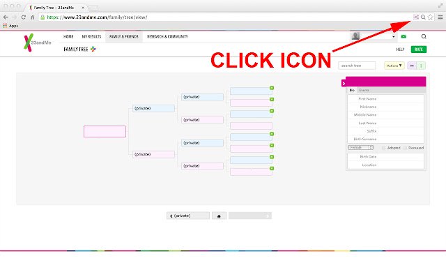 DNArboretum de la boutique en ligne Chrome sera exécuté avec OffiDocs Chromium en ligne