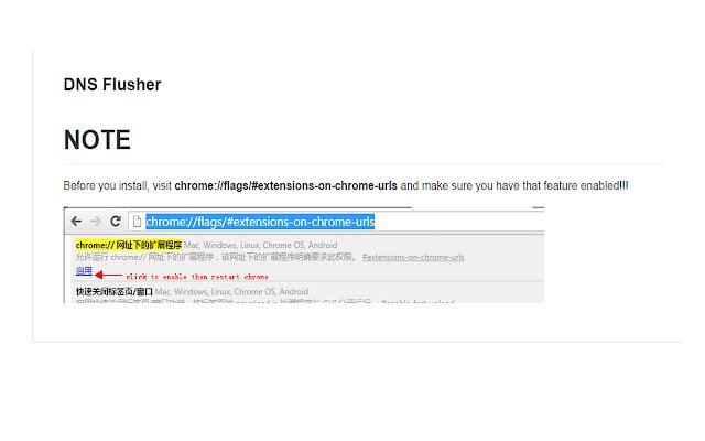 DNS Flusher dal Chrome Web Store da eseguire con OffiDocs Chromium online