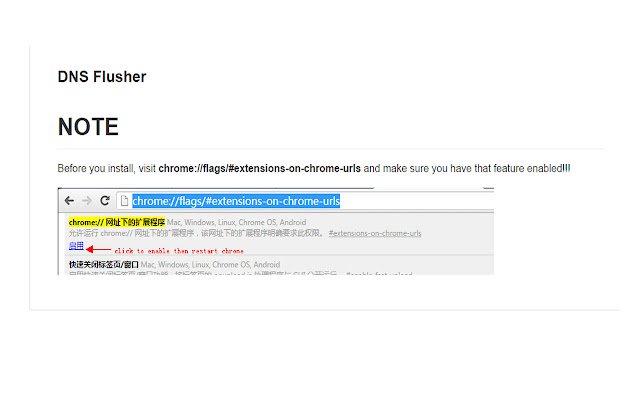 DNS Flusher de Chrome web store para ejecutarse con OffiDocs Chromium en línea