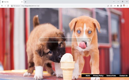 Dog Cuties from Chrome web store to be run with OffiDocs Chromium online Dog Cuties from Chrome web store to be run with OffiDocs Chromium online