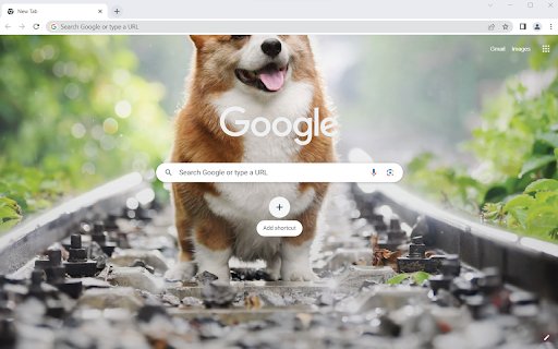 Dogily Petshop  from Chrome web store to be run with OffiDocs Chromium online