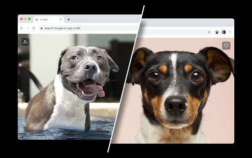 Dog Wallpapers for New Tab  from Chrome web store to be run with OffiDocs Chromium online