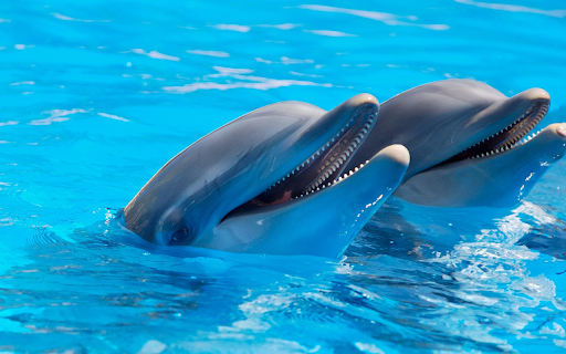 Dolphin performing  from Chrome web store to be run with OffiDocs Chromium online