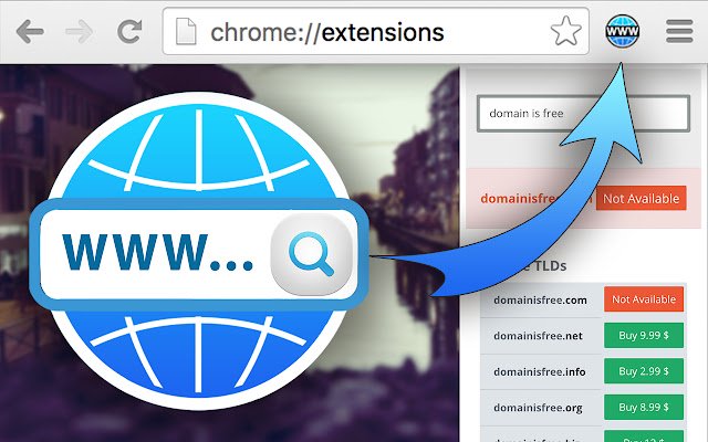 Domain Check Plugin  from Chrome web store to be run with OffiDocs Chromium online