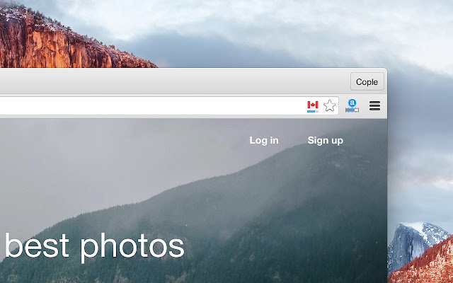 DomainFlag  from Chrome web store to be run with OffiDocs Chromium online